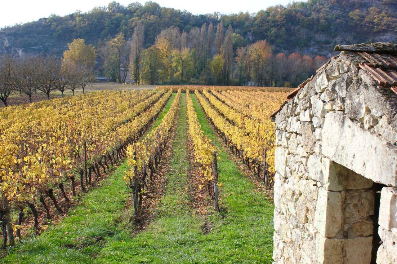 Castel Rouge Guest house Luzech
